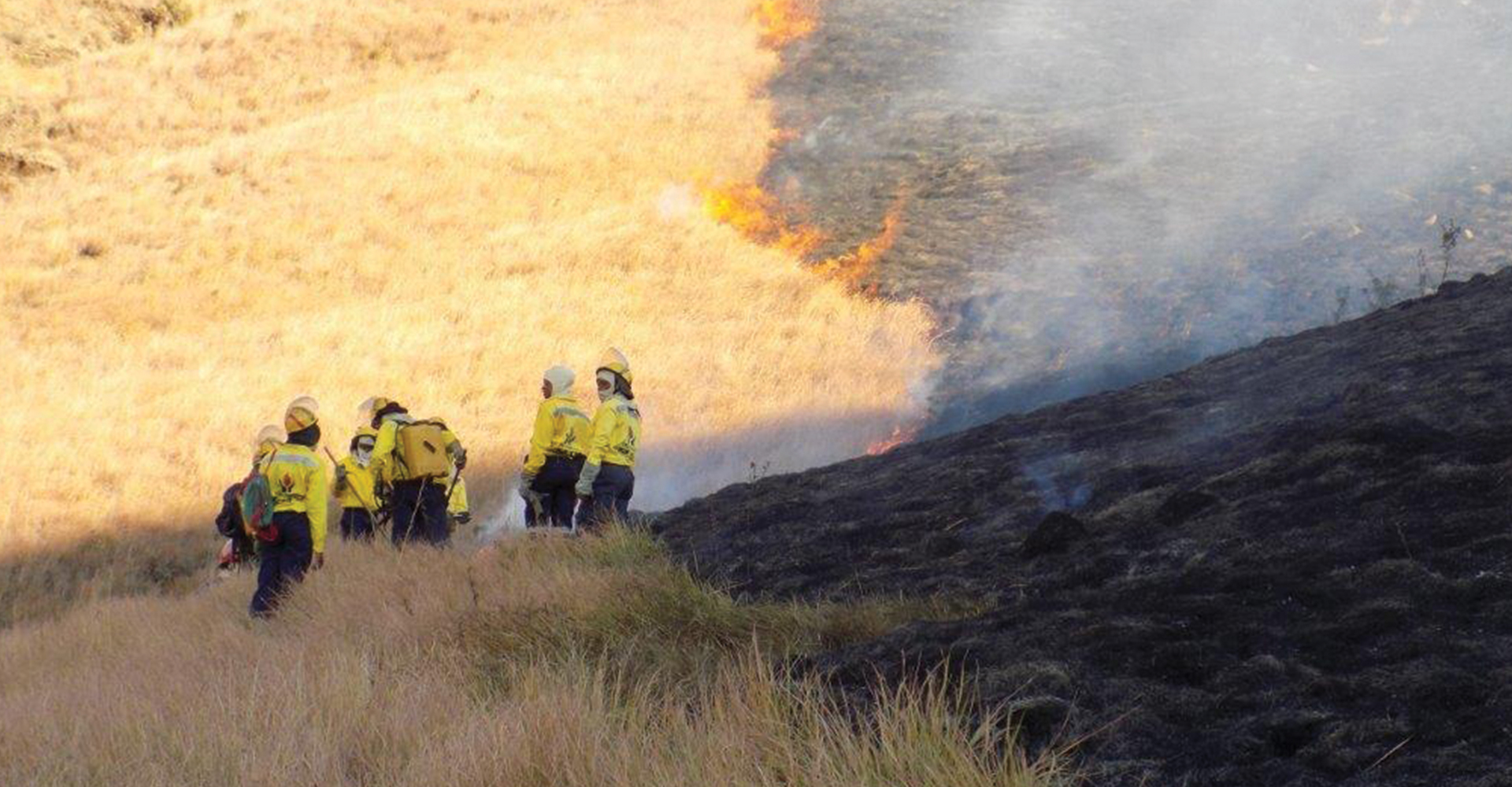 Minister-statement1---Fires-in-the-Eastern-Cape