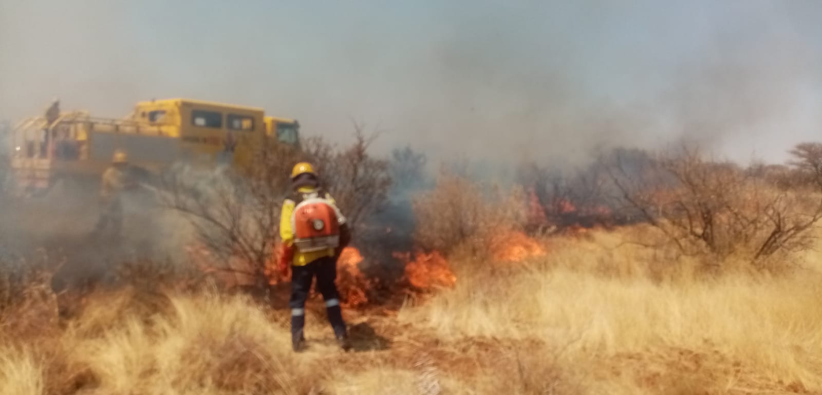 Working on Fire Free State combats fires as Winter Fire Season draws to a close